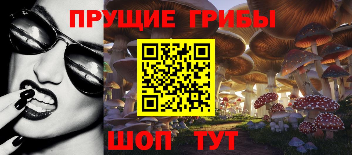 Прохладный  Псилоцибиновые грибы ЛСД  Вход с VPN  Галлюциногенные грибы Psilocybe 