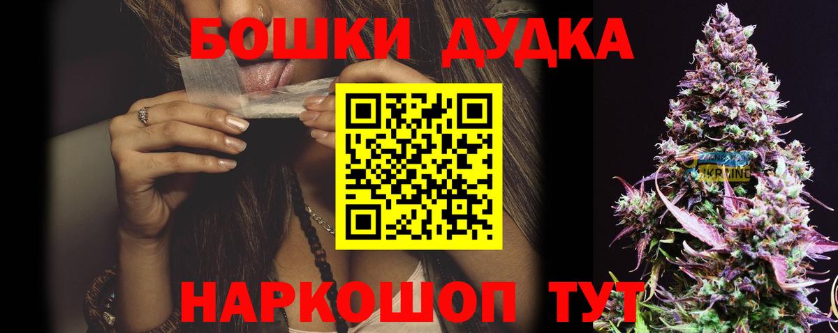 Каннабис SATIVA & INDICA  Канабис сатива  Прохладный  Вход с VPN 